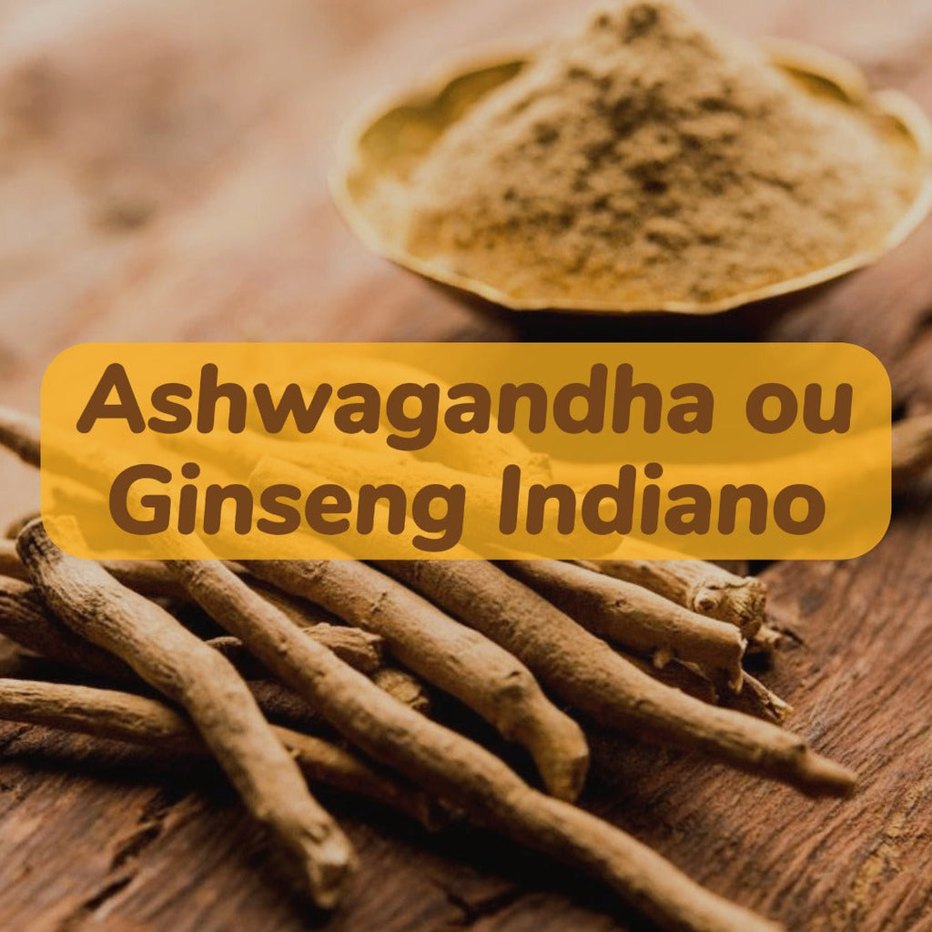 ASHWAGANDHA – GINSENG INDIANO – CEREJA DE INVERNO      Withania somnifera