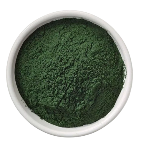 SPIRULINA EM PO (SPIRULINA PLATENSIS) 100G