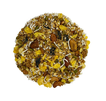 GRANOLA GRANARIUM DAMASCO E AMEIXA 500G