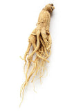 Ginseng Brasileiro - Extrato em Pó - 100g - Granarium Produtos Naturais Londrina - Granarium Produtos Naturais