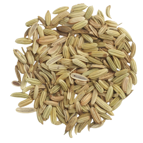 FUNCHO (FOENICULUM VULGARE MILL) 100G