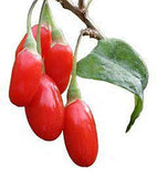 Goji Berry - 150g - Granarium Produtos Naturais Londrina - Granarium Produtos Naturais