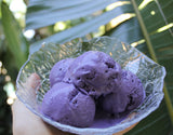 FLOR DA FADA AZUL EM PO (BUTTERFLY PEA POWDER) 20G