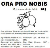 Ora Pro Nobis - 60g - Granarium Produtos Naturais Londrina - Granarium Produtos Naturais